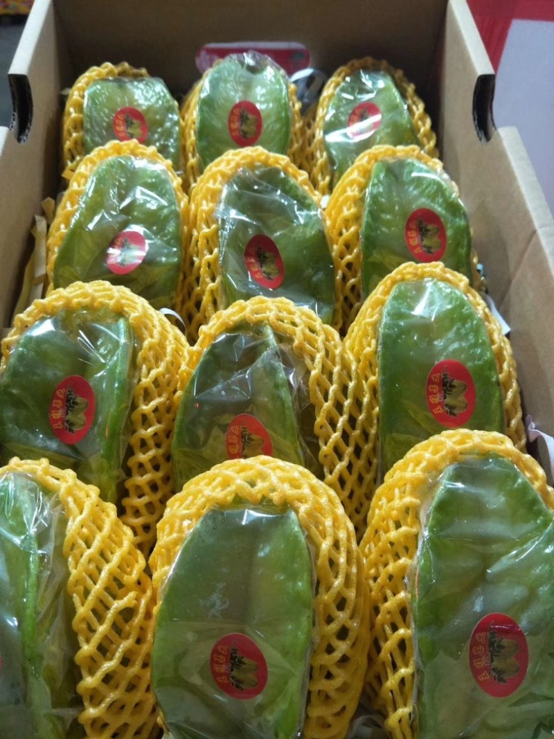 精品杨桃大量上市