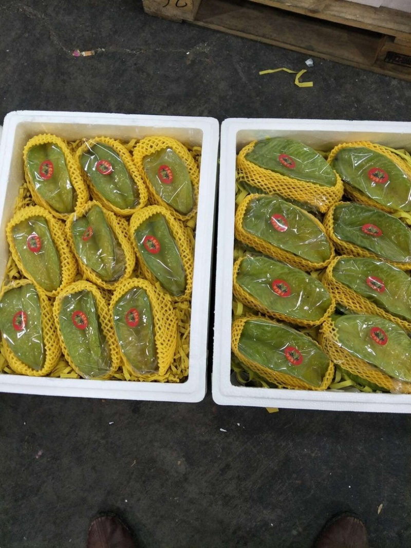 精品杨桃大量上市
