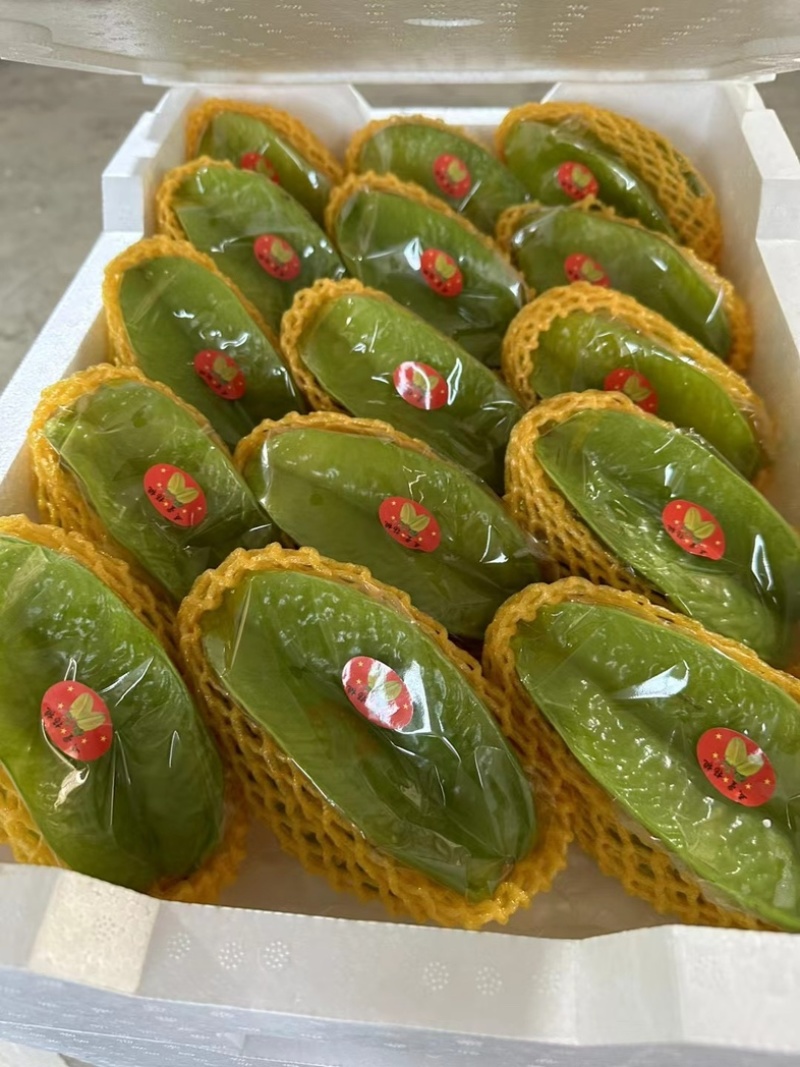 精品杨桃大量上市