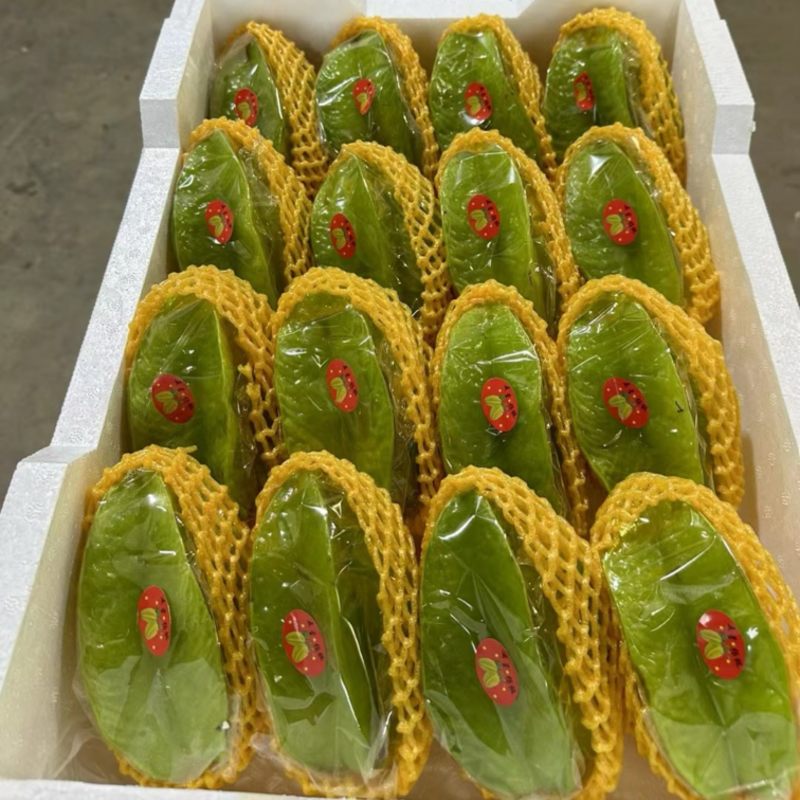 精品杨桃大量上市