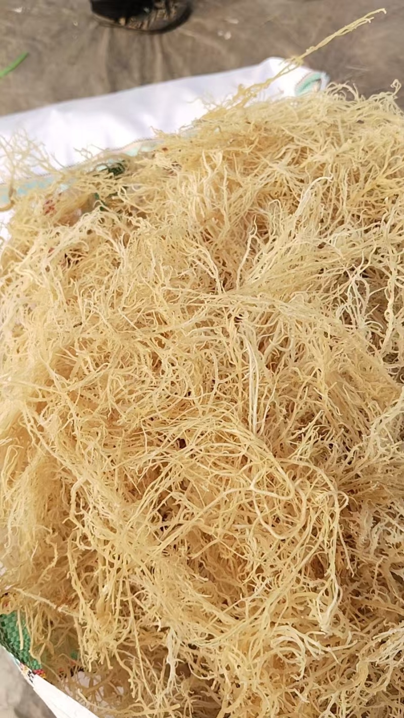 无盐清水龙须菜