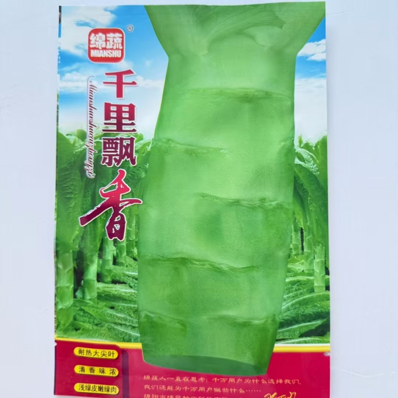 千里飘香莴笋种子尖叶窝笋莴苣菜种籽耐热高温四川春夏秋季蔬