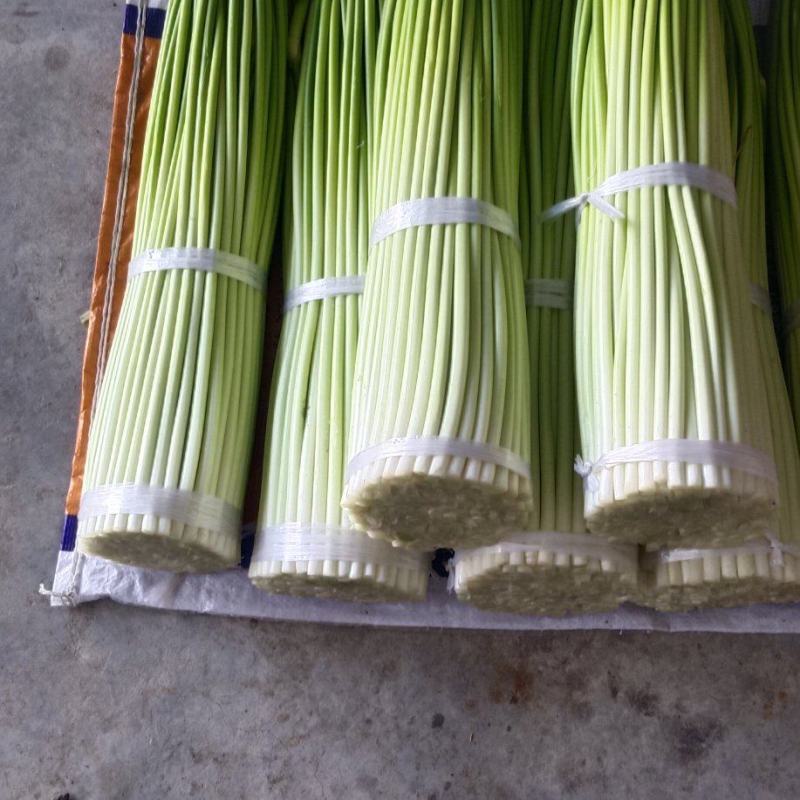 四川汉源蒜苔大上市了鲜，嫩，味好，有需要的联系
