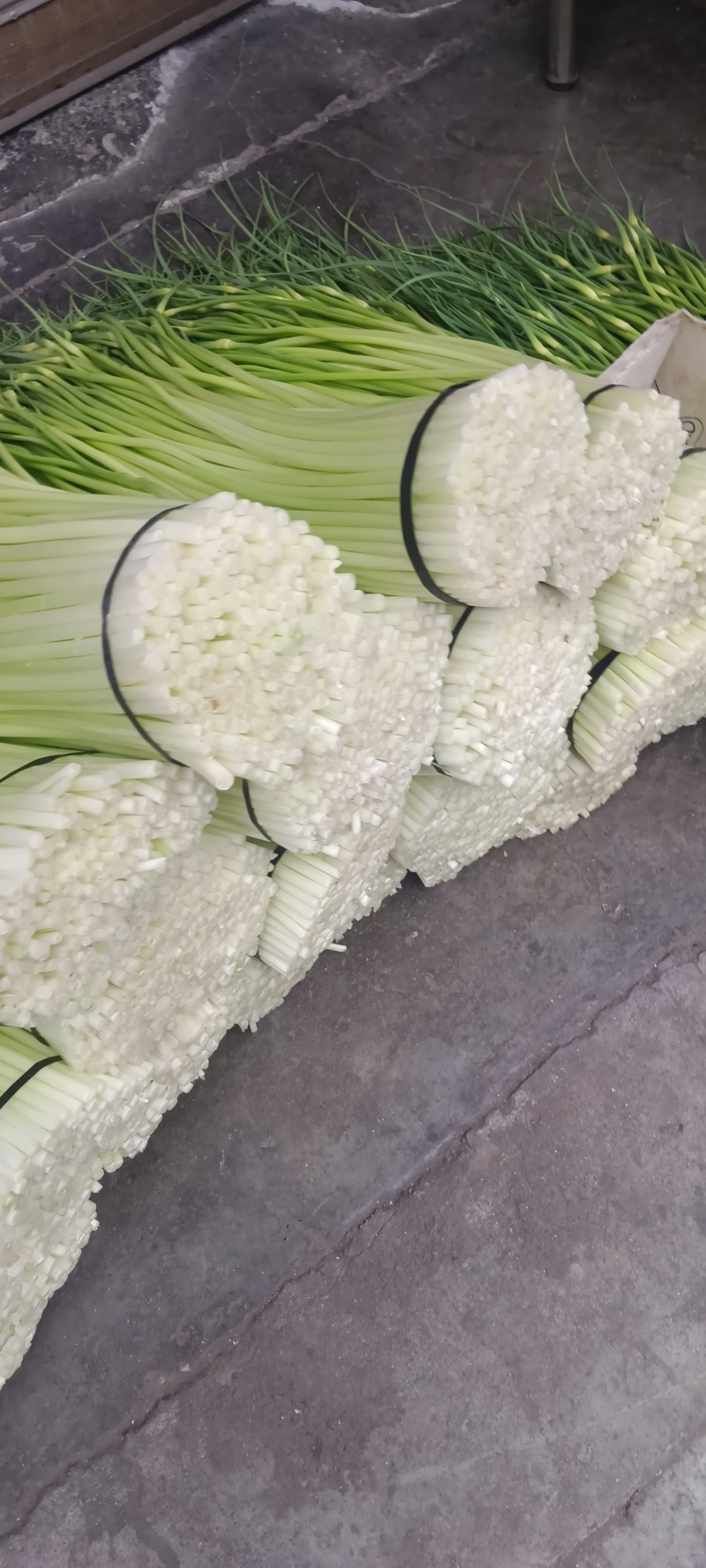 四川汉源蒜苔大上市了鲜，嫩，味好，有需要的联系