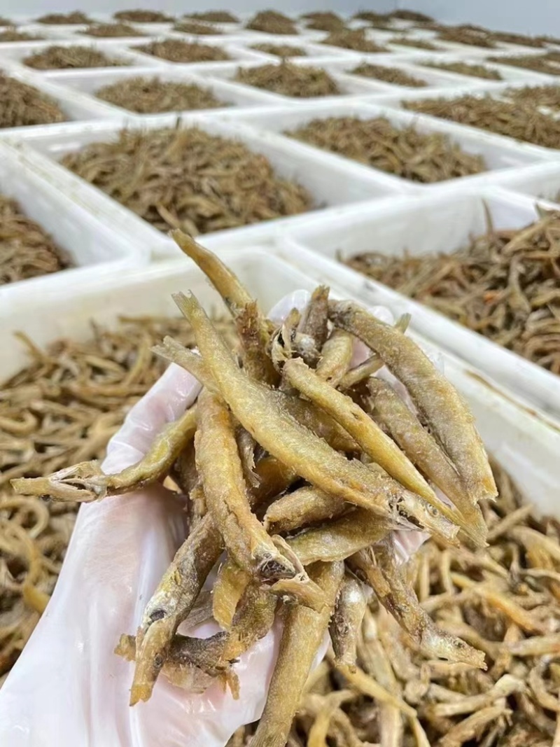 泥鳅干地摊电商展会万绿湖油炸泥鳅干五香香辣麻辣泥鳅干鱼干