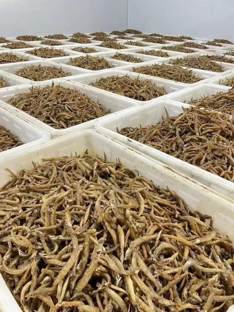 泥鳅干地摊电商展会万绿湖油炸泥鳅干五香香辣麻辣泥鳅干鱼干
