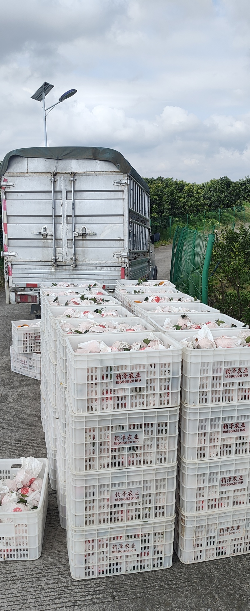 阳光一号