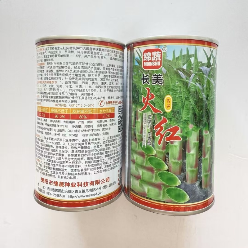 绵蔬长美火红莴笋种子红莴笋种子尖叶莴苣种耐寒叶紫