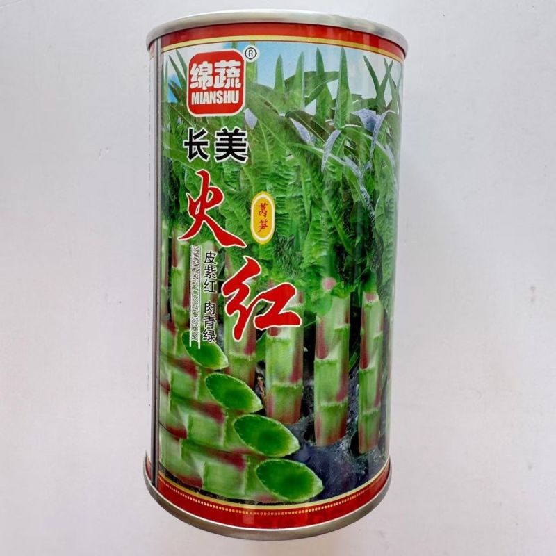 绵蔬长美火红莴笋种子红莴笋种子尖叶莴苣种耐寒叶紫