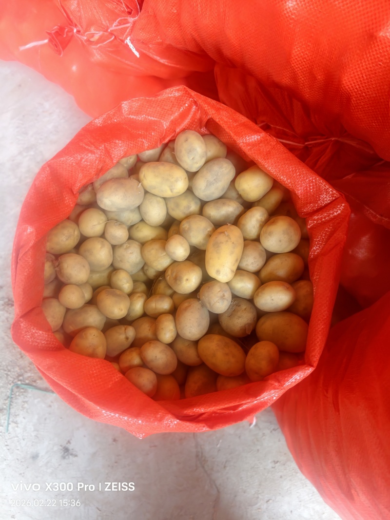 云南德宏盈江黄皮黄心迷你小土豆