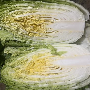 黄心大白菜有苔低价处理