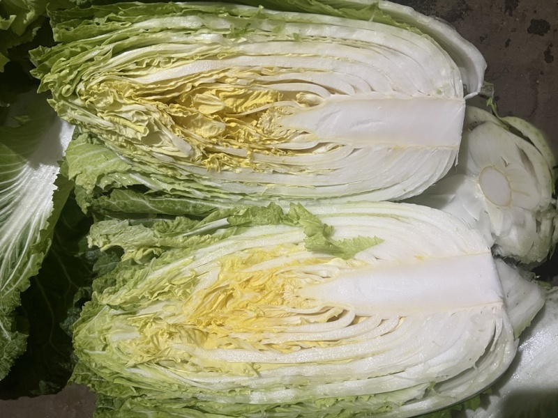 黄心大白菜有苔低价处理