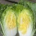 黄心大白菜有苔低价处理