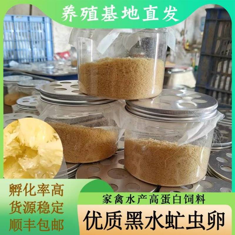 高孵化率黑水虻虫卵，养殖基地直发，长期合作，可一件代发。