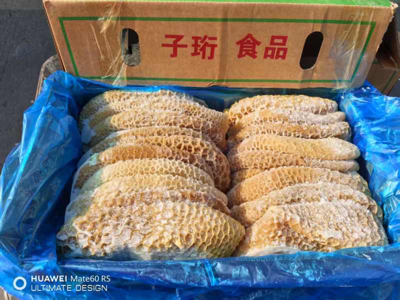 金钱肚