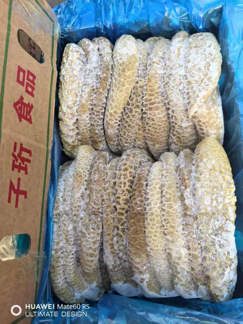 金钱肚