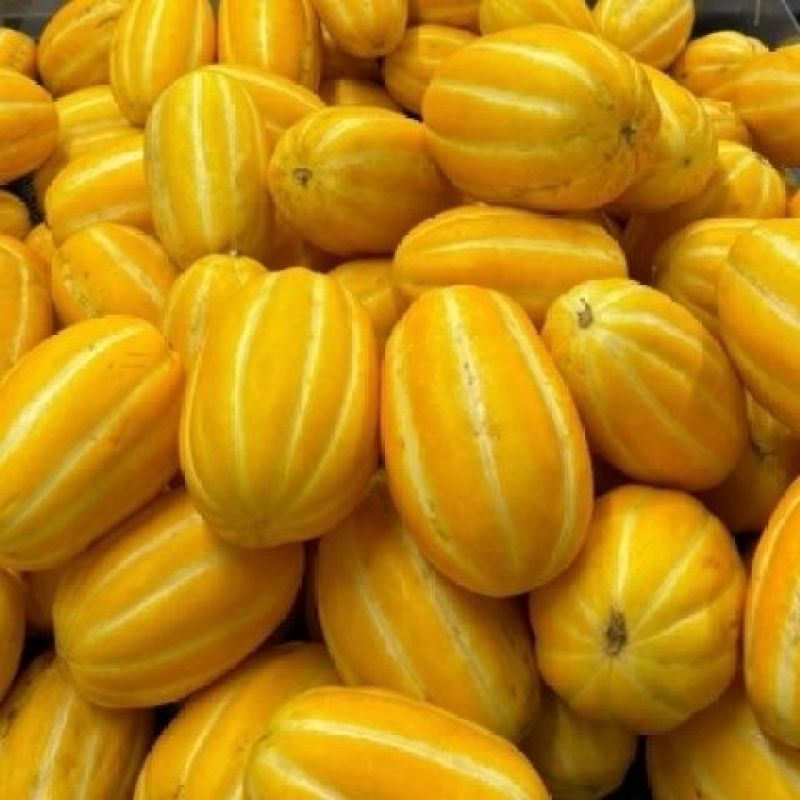 黄金蜜瓜各品种甜瓜山东香瓜按需包装包食宿专业代办代发全国