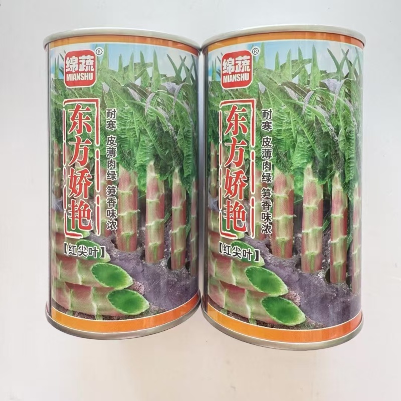 东方娇艳红尖叶莴笋种子紫红皮香莴笋耐寒绿肉莴苣种子大田基