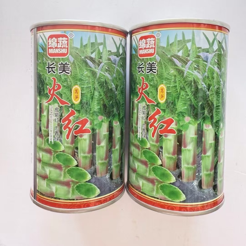 绵蔬长美火红莴笋种子红莴笋种子尖叶莴苣种耐寒叶紫