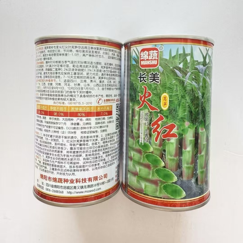 绵蔬长美火红莴笋种子红莴笋种子尖叶莴苣种耐寒叶紫