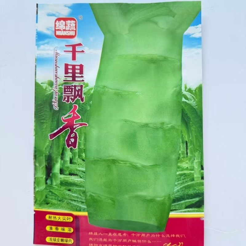 千里飘香莴笋种子尖叶窝笋莴苣菜种籽耐热高温四川春夏秋季蔬