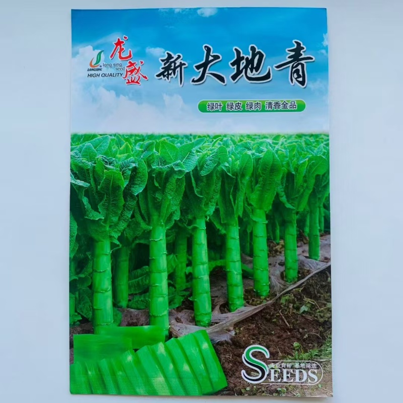 三青莴笋种子新大地青香莴笋种子耐寒椭圆叶绿叶绿皮绿肉莴苣