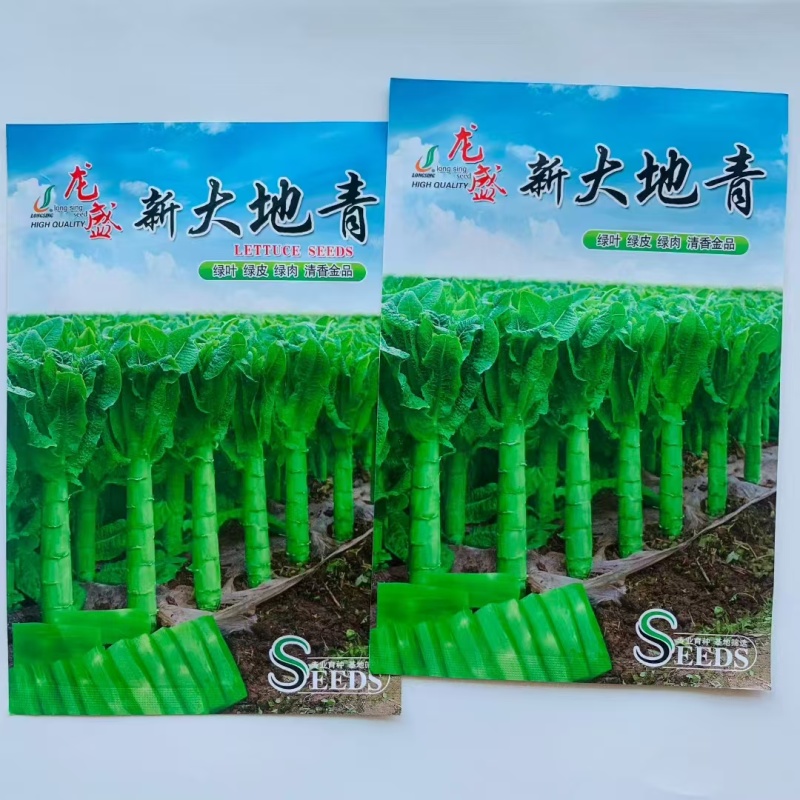 三青莴笋种子新大地青香莴笋种子耐寒椭圆叶绿叶绿皮绿肉莴苣