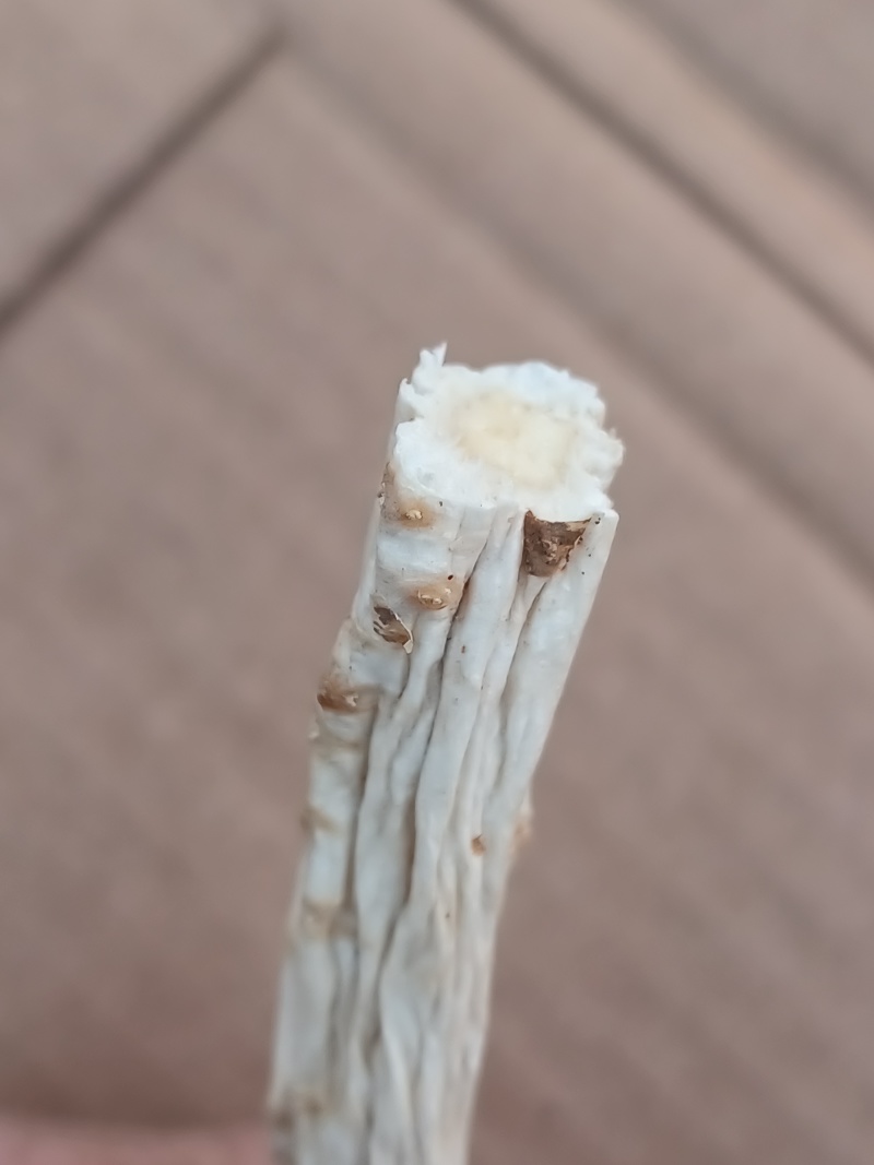 野生桔梗条子刮皮干货有片