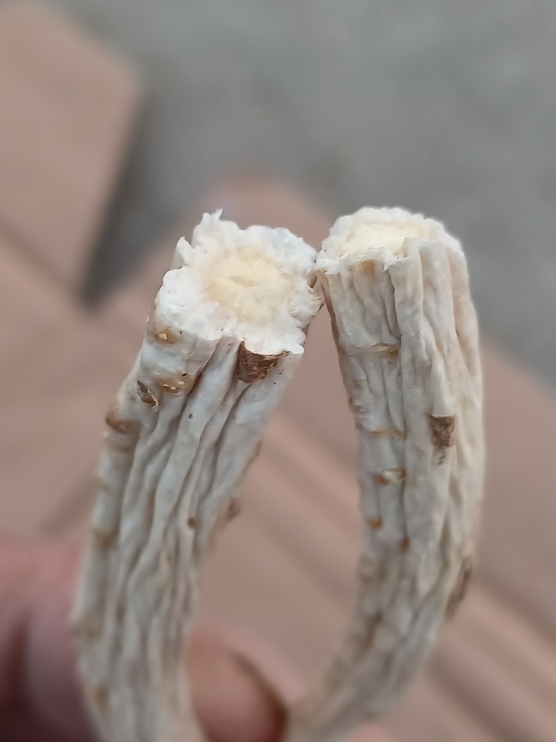 野生桔梗条子刮皮干货有片
