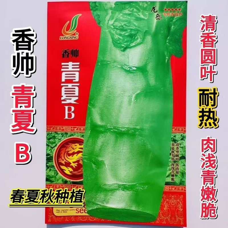 香帅青高圆叶耐热莴笋种子清香型抗高温菜籽种圆叶莴笋种子莴