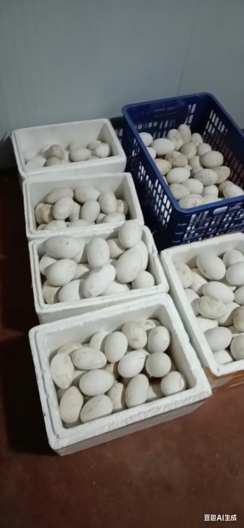 自家散养鹅蛋可长期供货