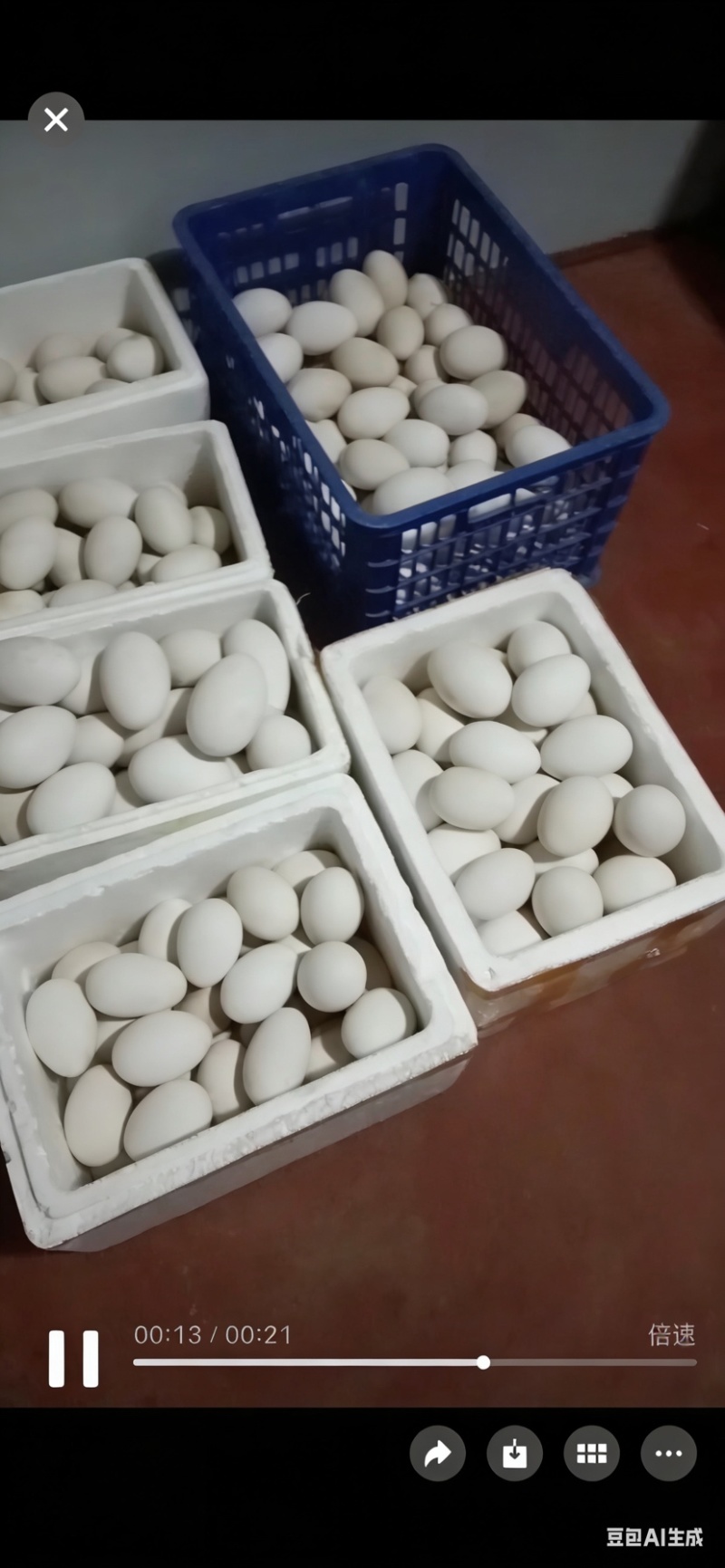 自家散养鹅蛋可长期供货