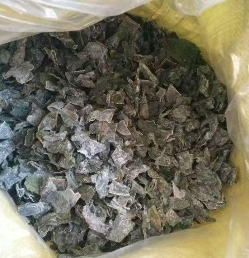 海带块海带片牛肉面海带块米线海带块海带片产地直接发货