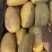 （云南土豆）青薯9号土豆丶实验1号土豆丶品种规格齐全