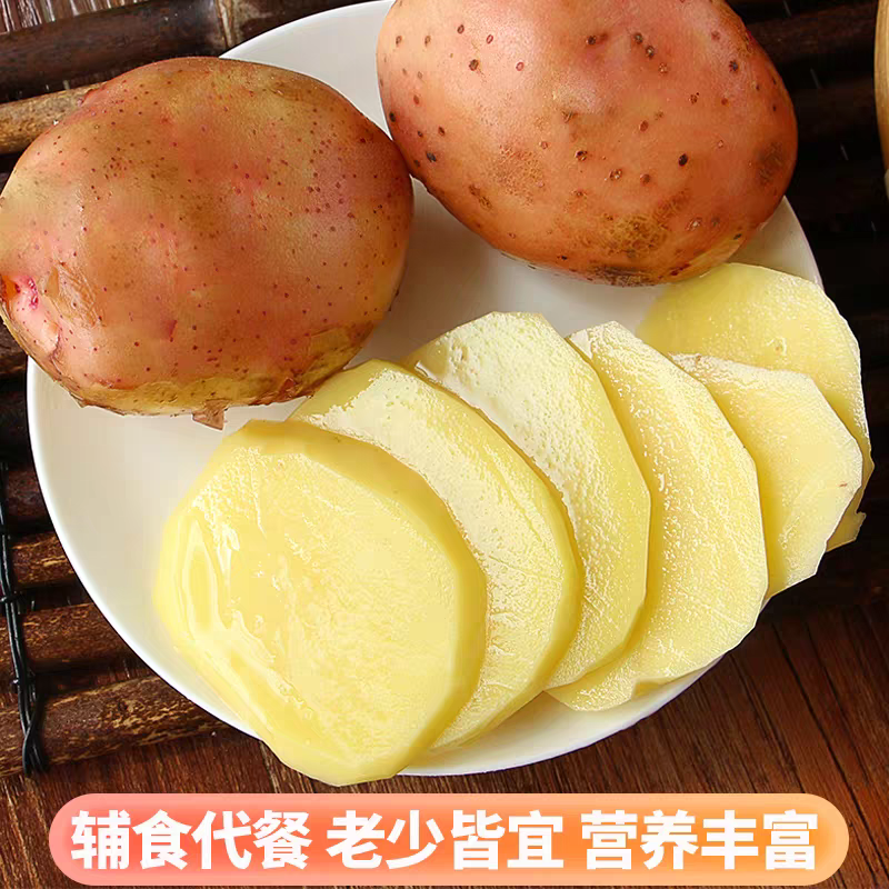 （红皮土豆）青薯9号土豆/产地货源/价格便宜/欢迎来电合作