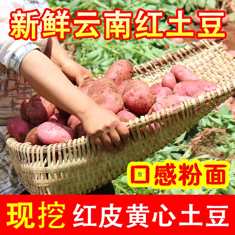 （红皮土豆）青薯9号土豆/产地货源/价格便宜/欢迎来电合作