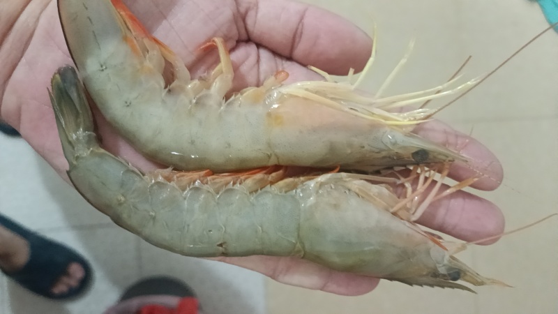 海鲜