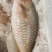 海鲜