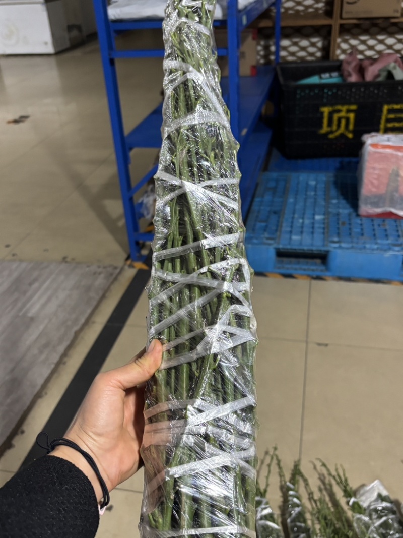阿蜜达穗条！（爱媛46号）11月成熟！早熟耙耙柑