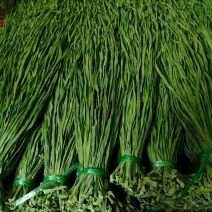 《贡菜干》云南精品贡菜干/产地直发/价格公道/欢迎来电
