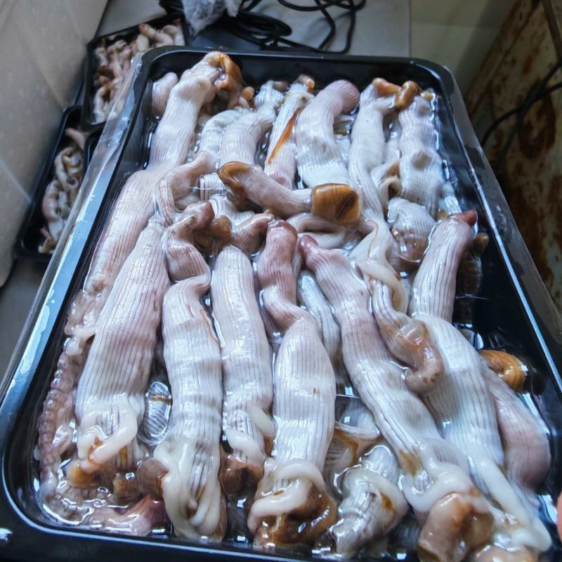 无沙沙虫冻肉