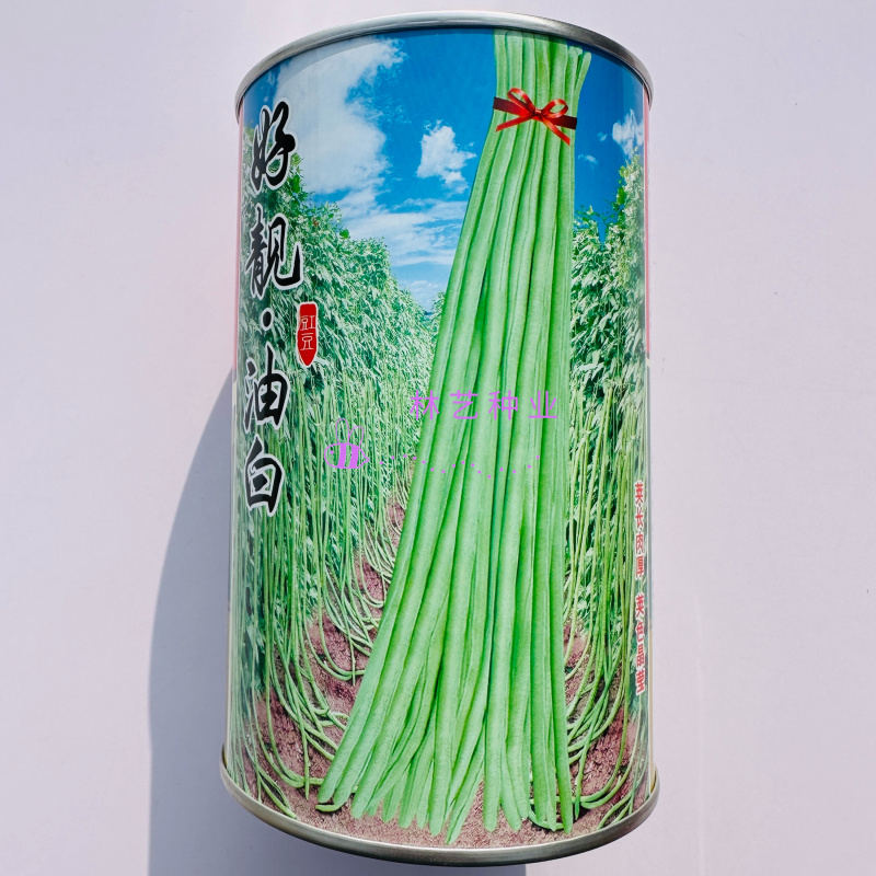 龙盛好靓油白油白长豆角豇豆种子早熟品种长荚耐热耐湿春秋5