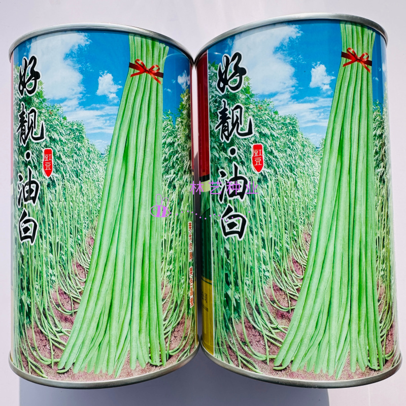 龙盛好靓油白油白长豆角豇豆种子早熟品种长荚耐热耐湿春秋5