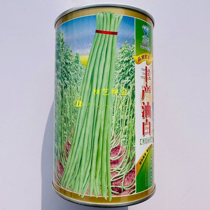 丰产油白豇豆豆角种子长豆角肉厚荚长较早熟抗寒耐热