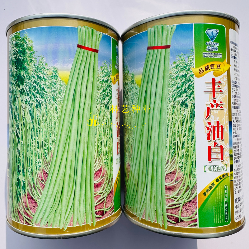 丰产油白豇豆豆角种子长豆角肉厚荚长较早熟抗寒耐热