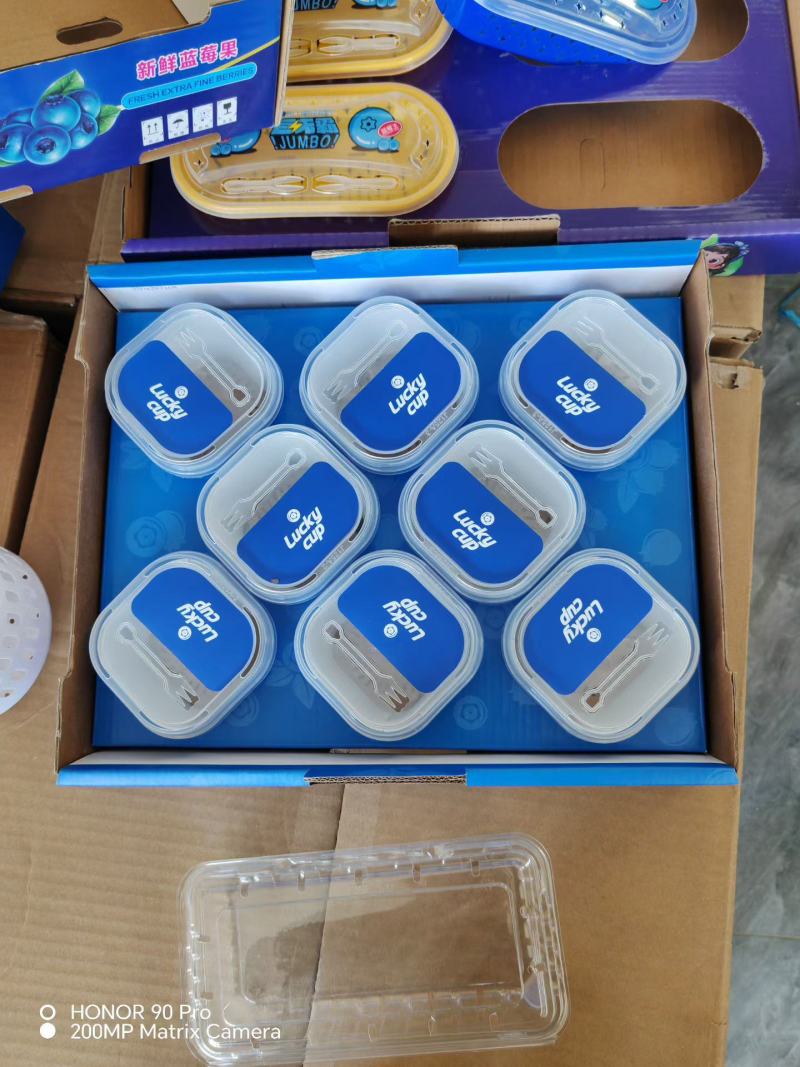 L25山东蓝莓基地大量上市，品种齐全，L25，优瑞
