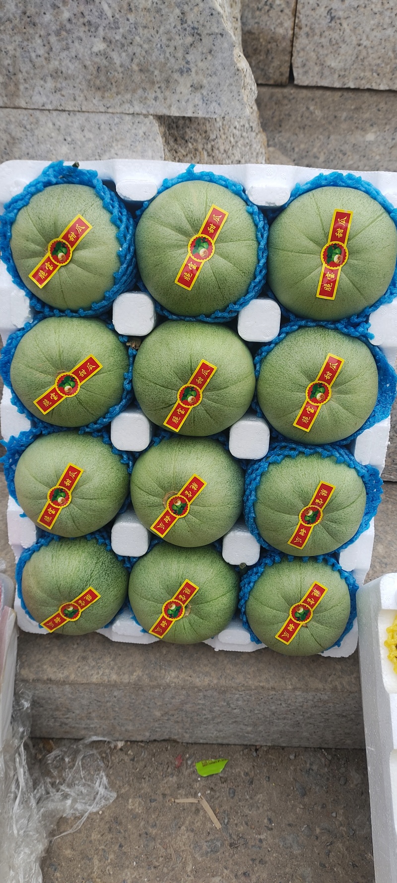 绿宝甜瓜等各种甜瓜大量上市品质好，规格全欢迎采购