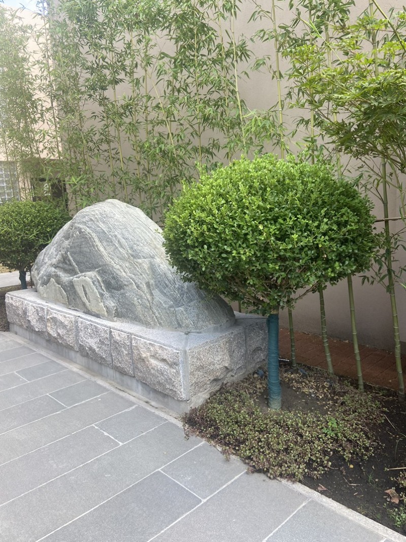 抗寒耐冻精品高杆瓜子黄扬球基地直发品种齐全