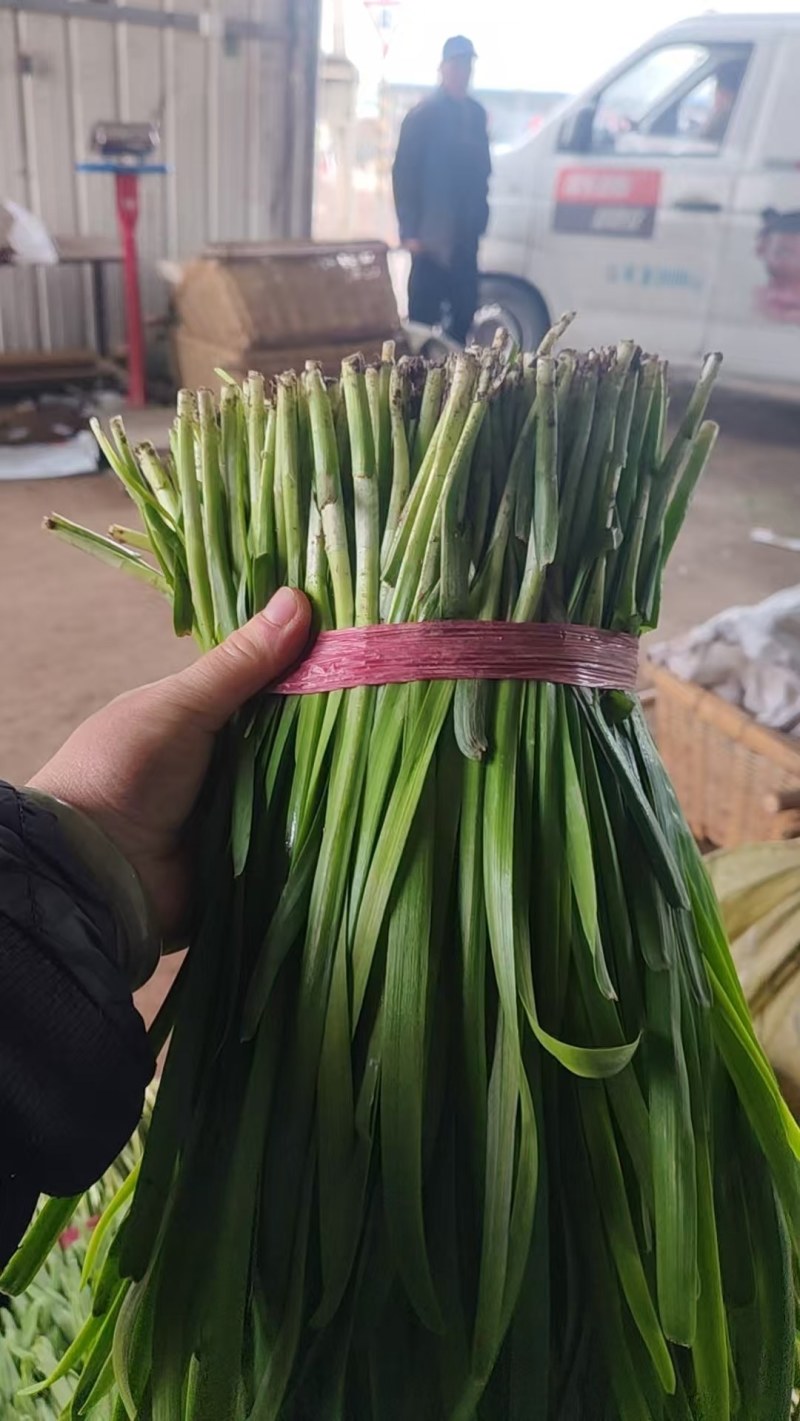 山东临沂沂水韭菜，辣椒