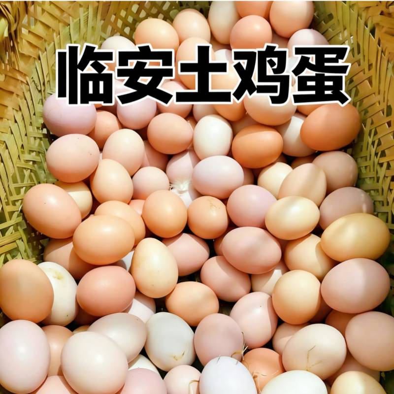 农家土鸡蛋放养草鸡蛋整箱360个批发代发